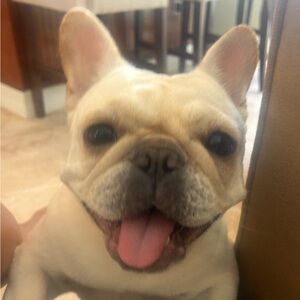 Meet your Posher, Terri